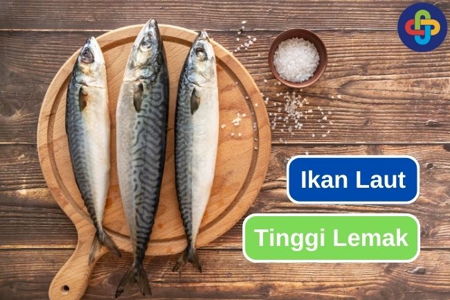 Ketahui 10 Ikan Laut Berlemak Tinggi